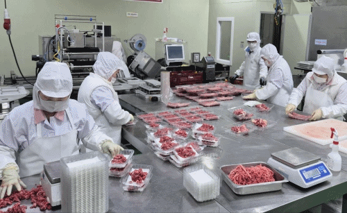 66317aab2f9c3964a896d2961ce632da_1725413469_0867.gif