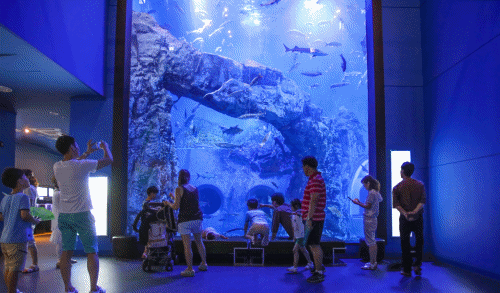 e329bedb36562d7fab7b0b421c4ca765_1729040156_6195.gif