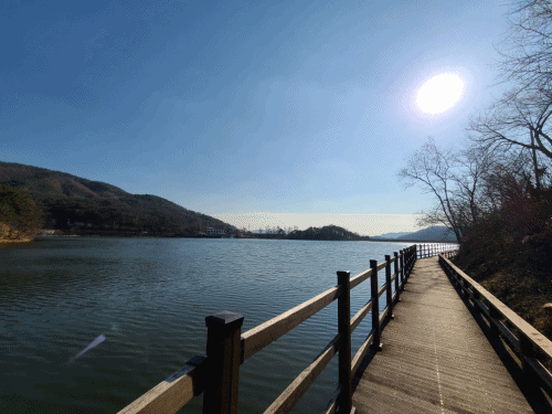 42652f2dc53e89a5120111b0b38eb46f_1730426089_1189.gif