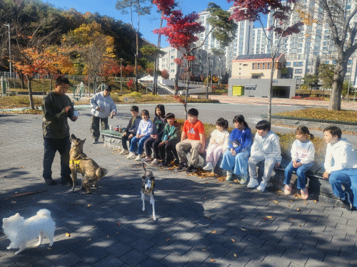 d7fbb533428bfbc9fb11a18f6f8d4b01_1730855134_4979.gif